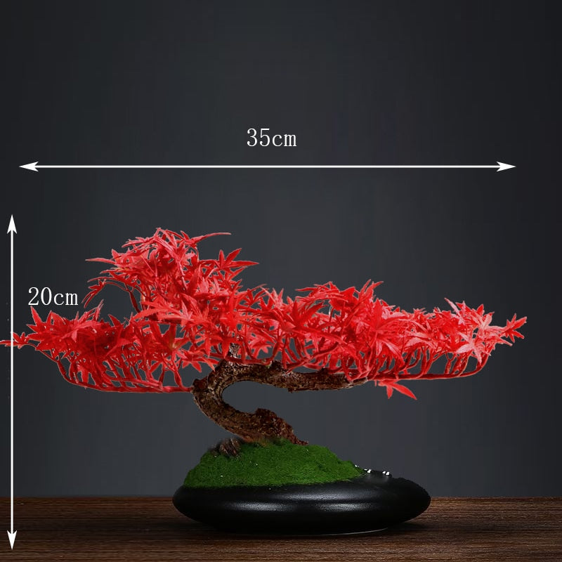 Bonsa rable Japonais Deshojo - Arbre Vivant 25-30 Cm, Pot Cramique,  Plante D'Extrieur Bonsa rable Japonais Deshojo