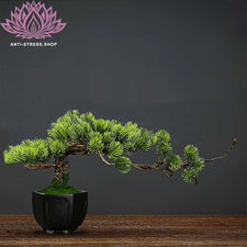 Bonsaï artificiel zen