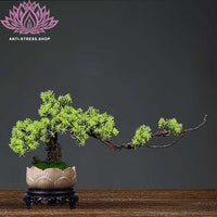 Bonsai artificiel en racines de bois