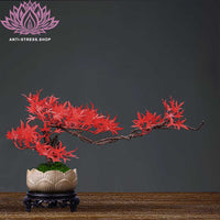 Bonsaï fleurs d'érable rouge