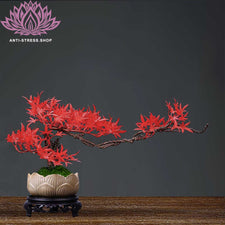 Bonsaï fleurs d'érable rouge