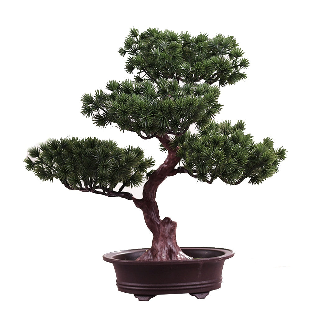 Bonsai Sérénité Dans Un Jardin Zen Japonais