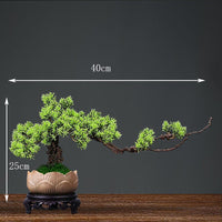 Bonsai artificiel en racines de bois