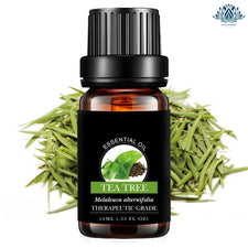 Huile essentielle anti-stress arbre à thé