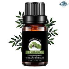 Huile essentielle anti-stress Eucalyptus