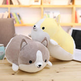 Peluche Chien Shiba Kawaii