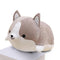 Peluche Chien Shiba Kawaii }