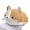 Peluche Chien Shiba Kawaii }