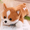 Peluche Corgi Kawaii 100 cm }