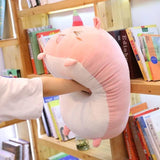 Peluche Kawaii Coussins Mignons