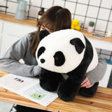 Peluche Kawaii Panda joufflu