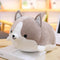 Peluche Shiba Inu Kawaii }