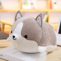 Peluche Shiba Inu Kawaii